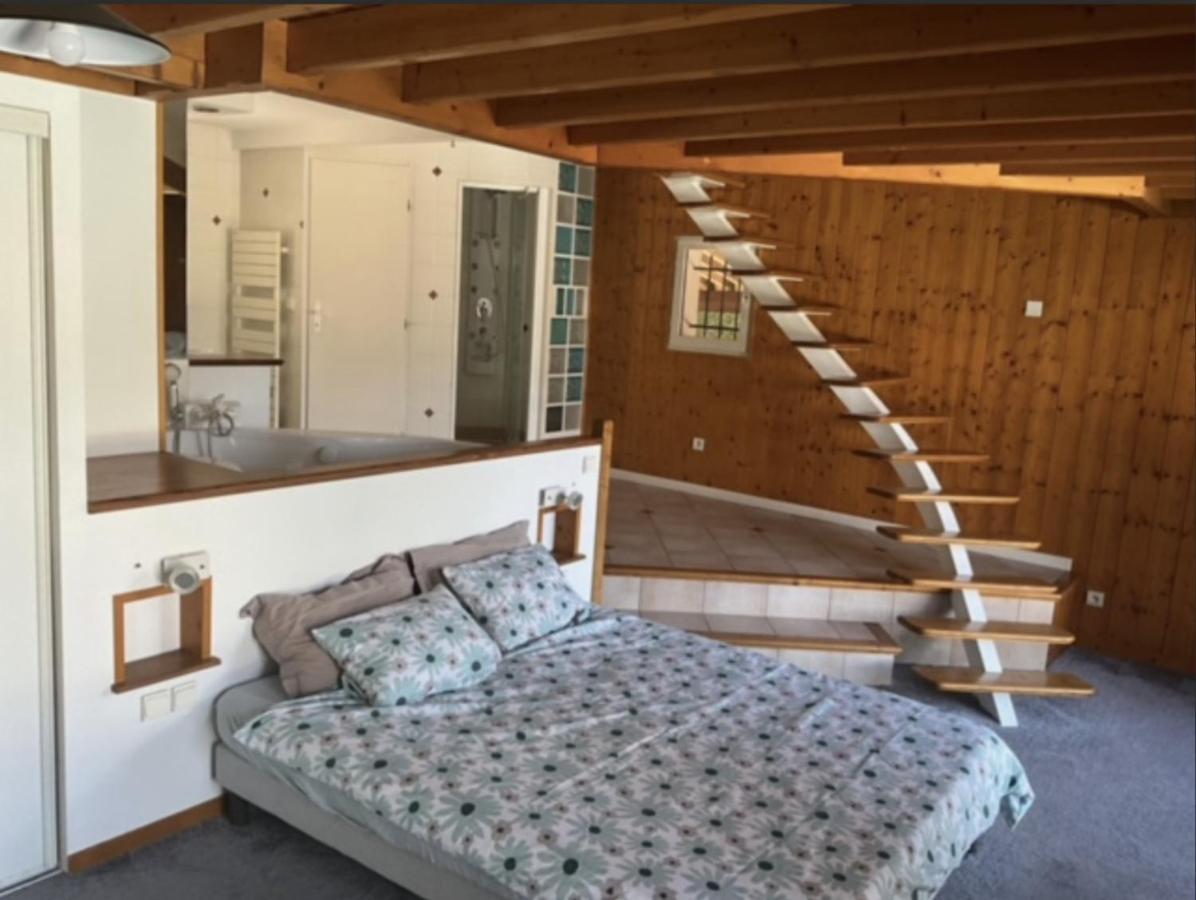 Villa Avec Piscine, Vue Lac Et Montagne Sévrier エクステリア 写真